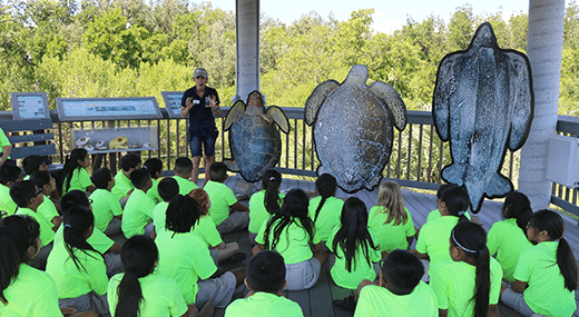 Group of kids attending an class on turtles at florida ocean