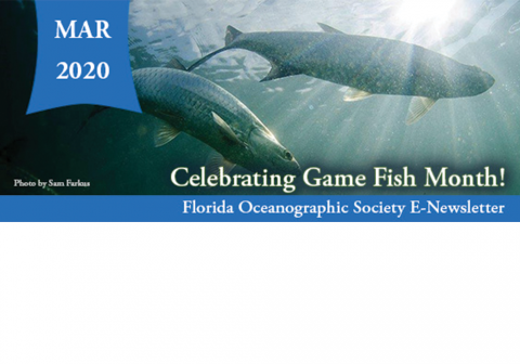 Game Fish Month