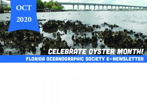 Oyster Month 