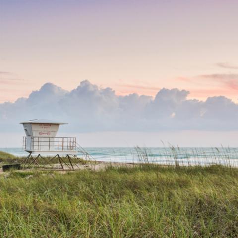 beach sunrise, grass and life guard station in foreground, cloud and waves in background