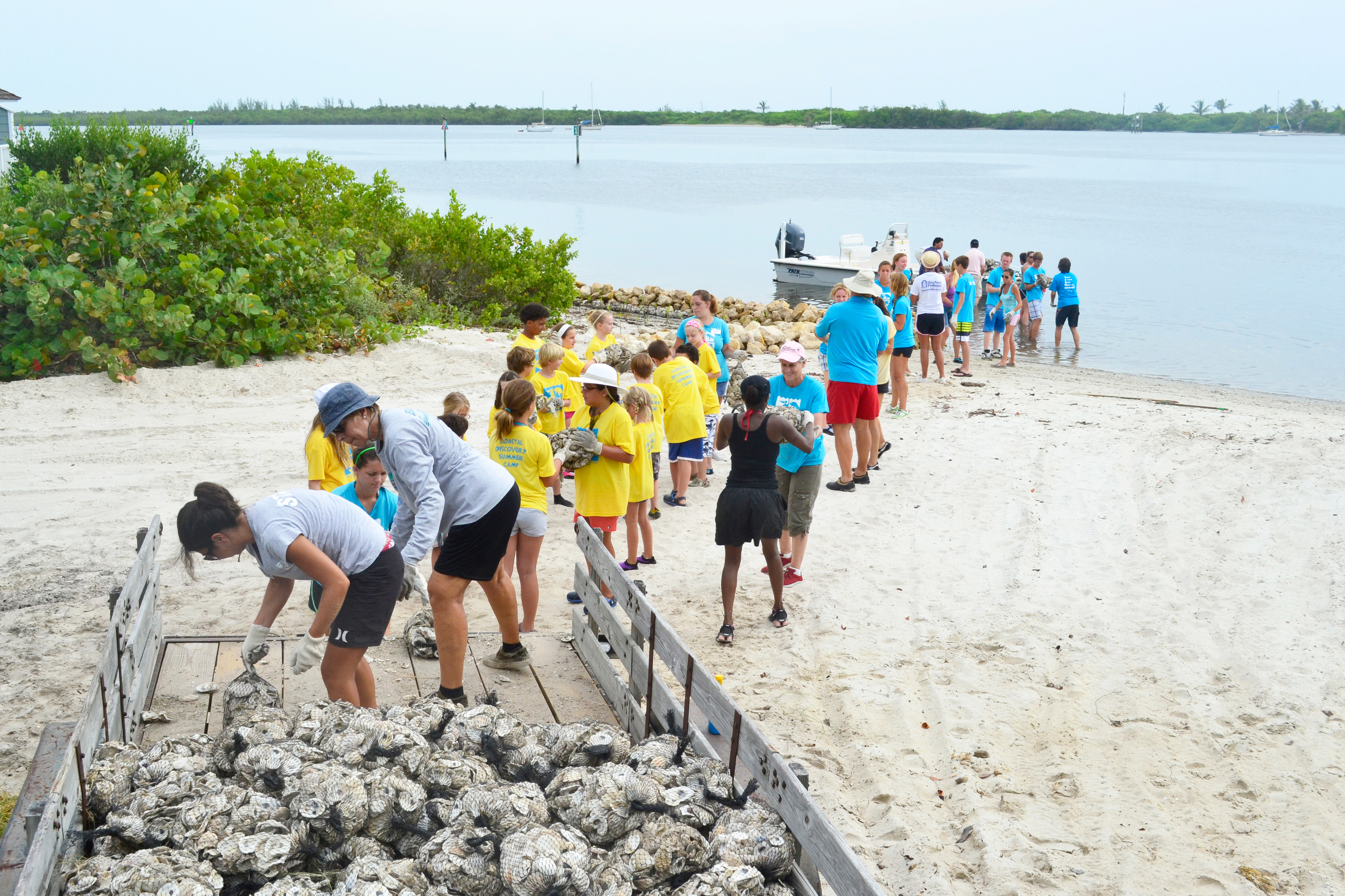 Volunteers helping to deploy oyster bags into the Indian River Lagoon