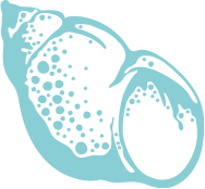 Underwater Shell