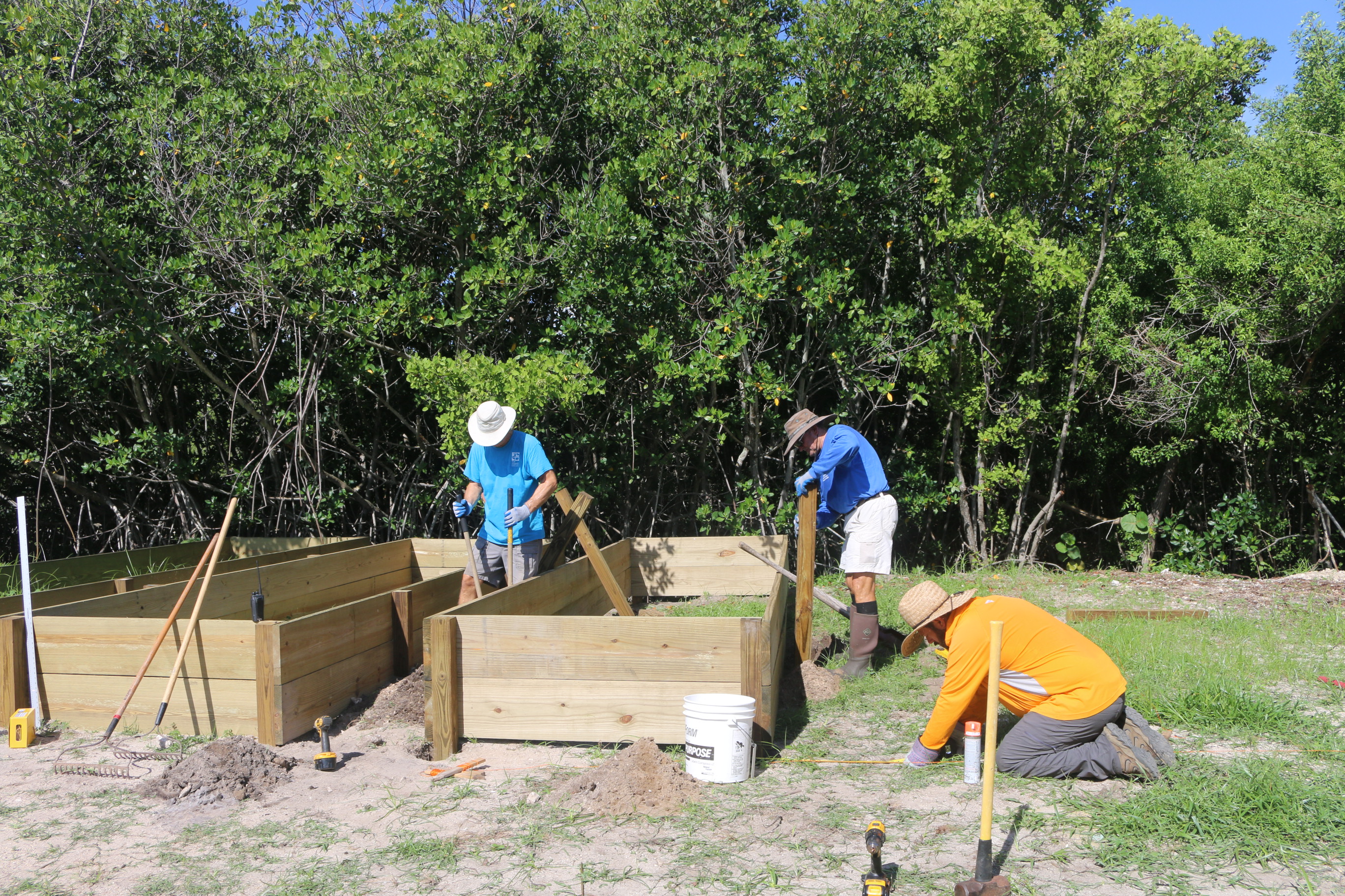 Building of mangrove nursery 