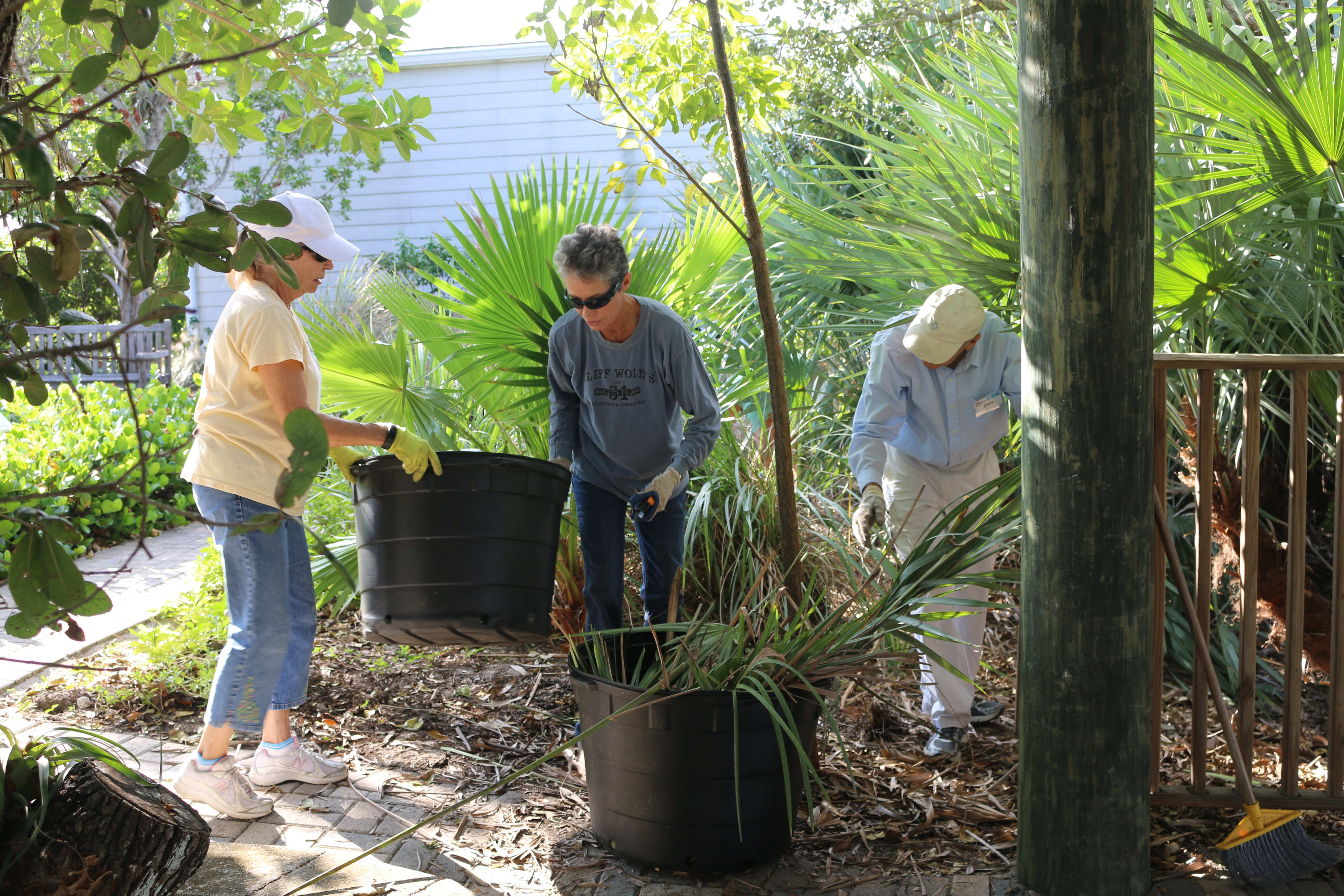 Green team volunteers working in the garden 