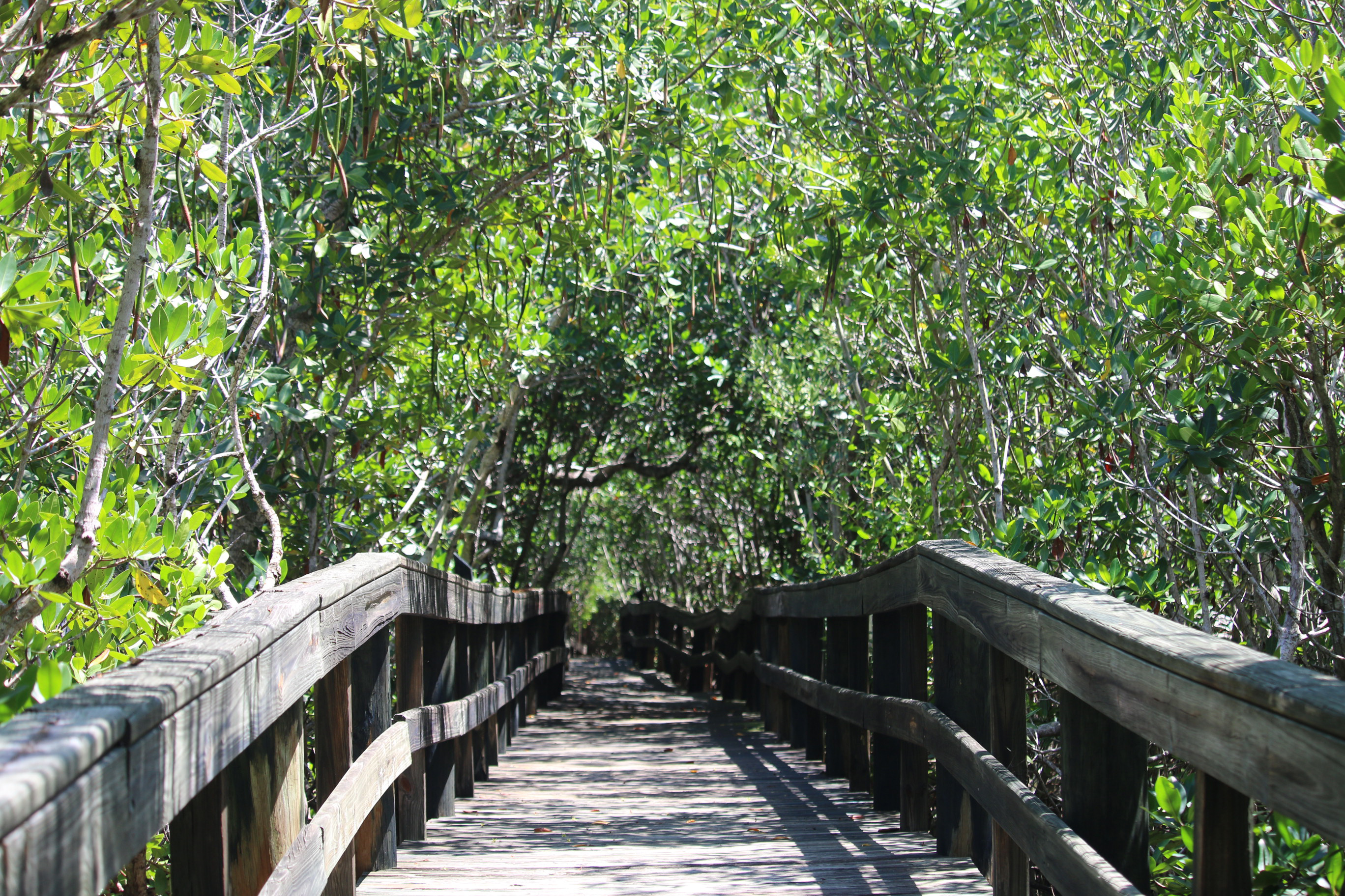 Nature Trail