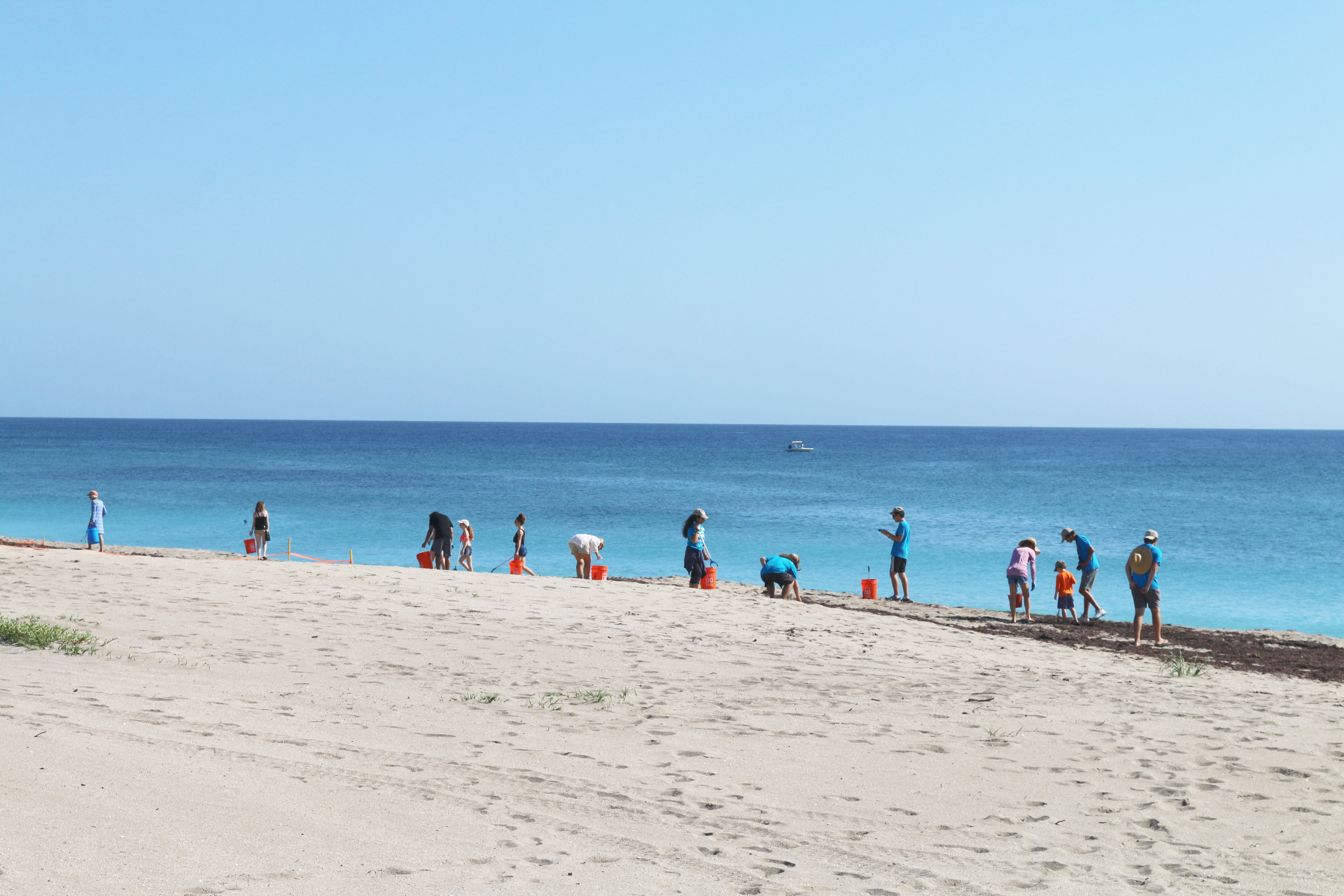 Volunteers cleaning the beach