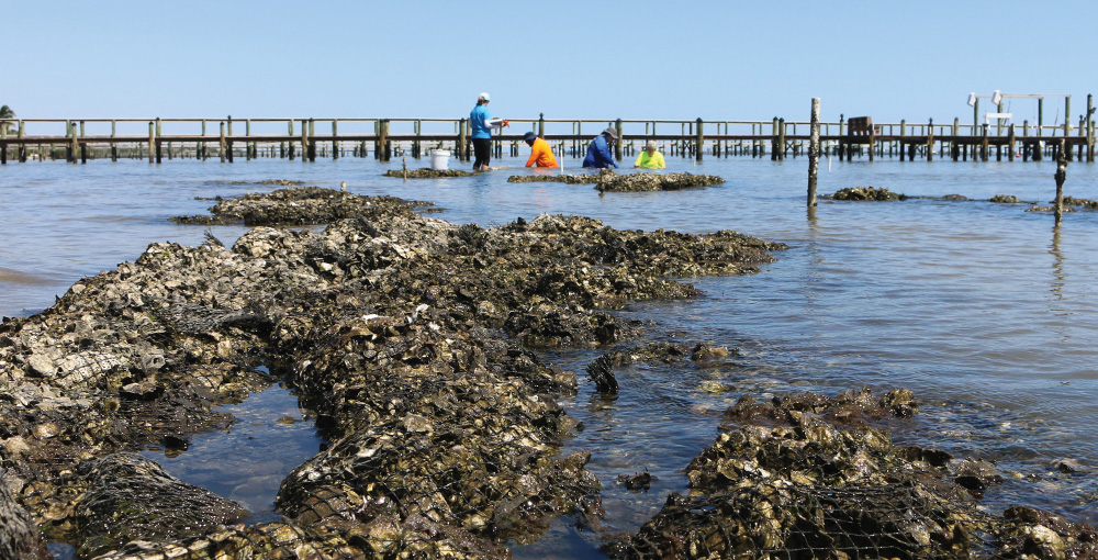 Researchers inside the Indian River Lagoon