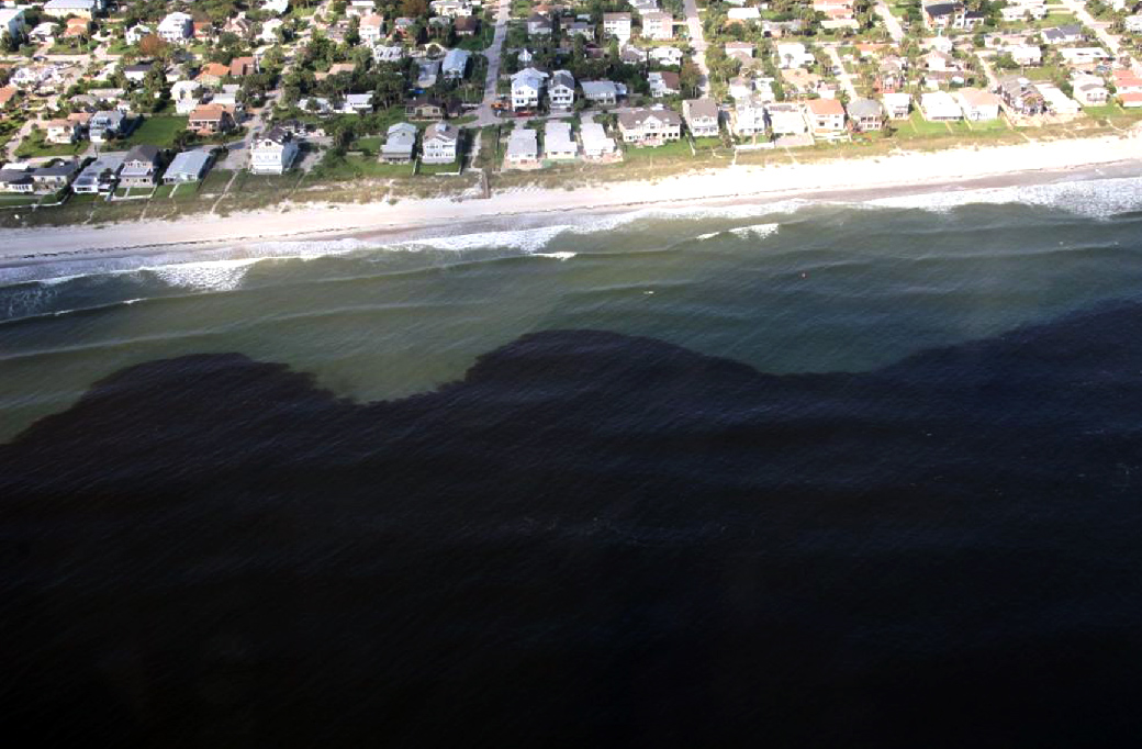 ride tide along Florida's coast 