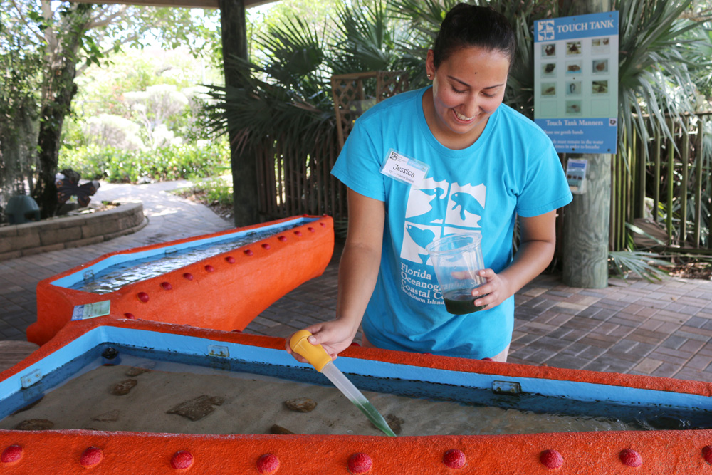 Animal care intern taking care of the touch tank animals 