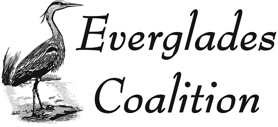 Everglades coalition 