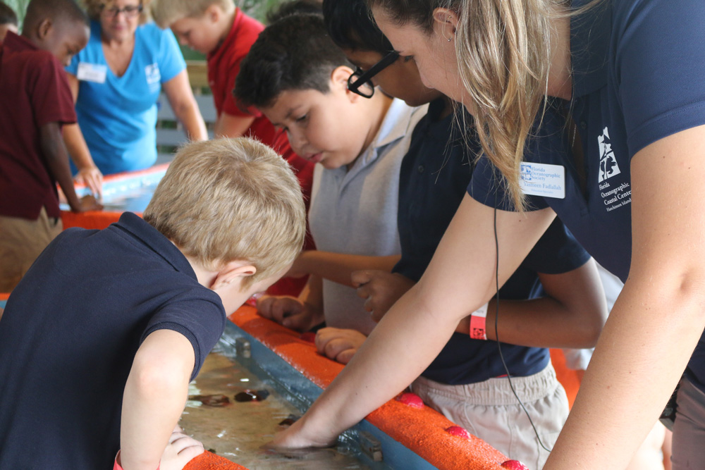 children learning at the touch tank 