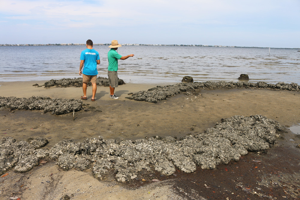 research interns monitoring oyster reef