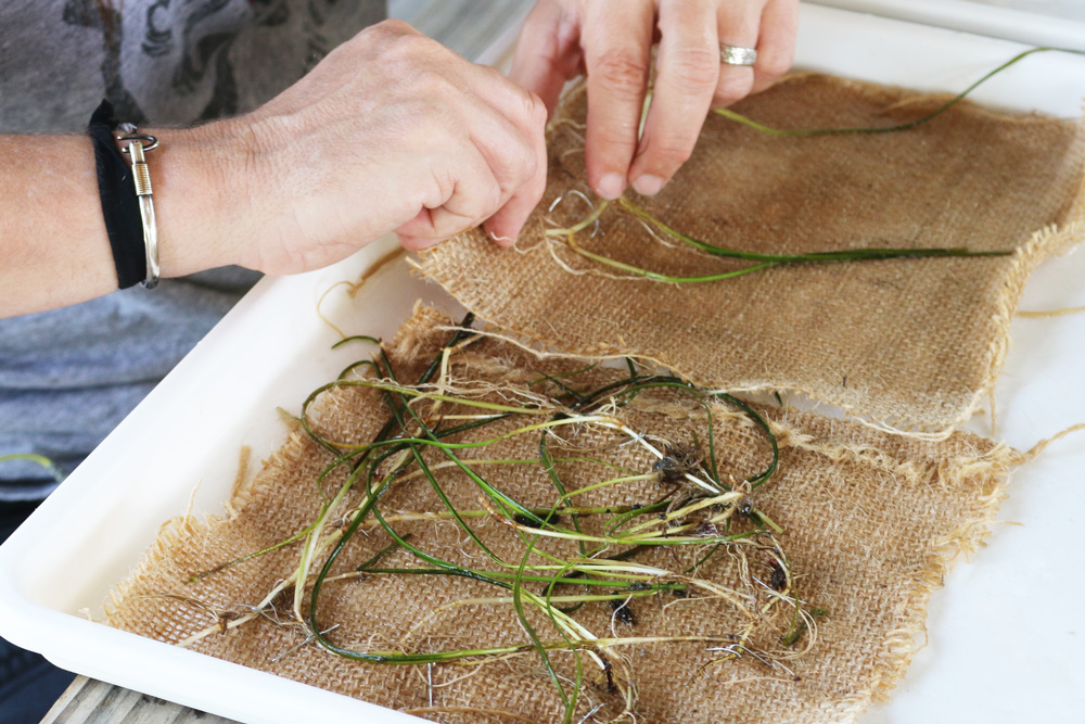 Seagrass matting 