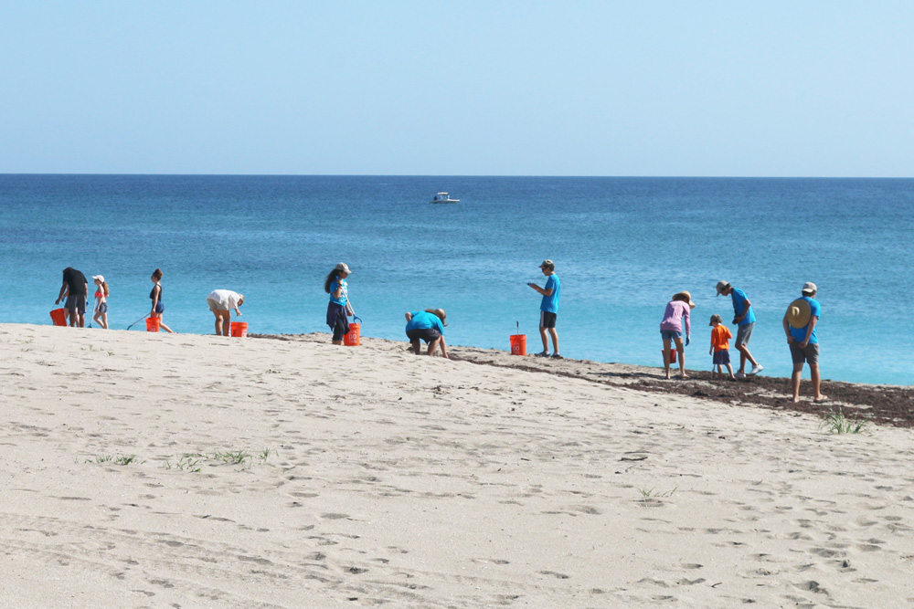 Team ocean volunteers cleaning up the beach
