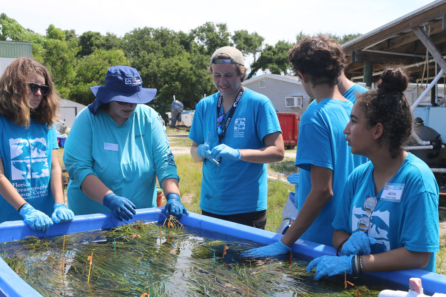 Team ocean students learning about seagrass