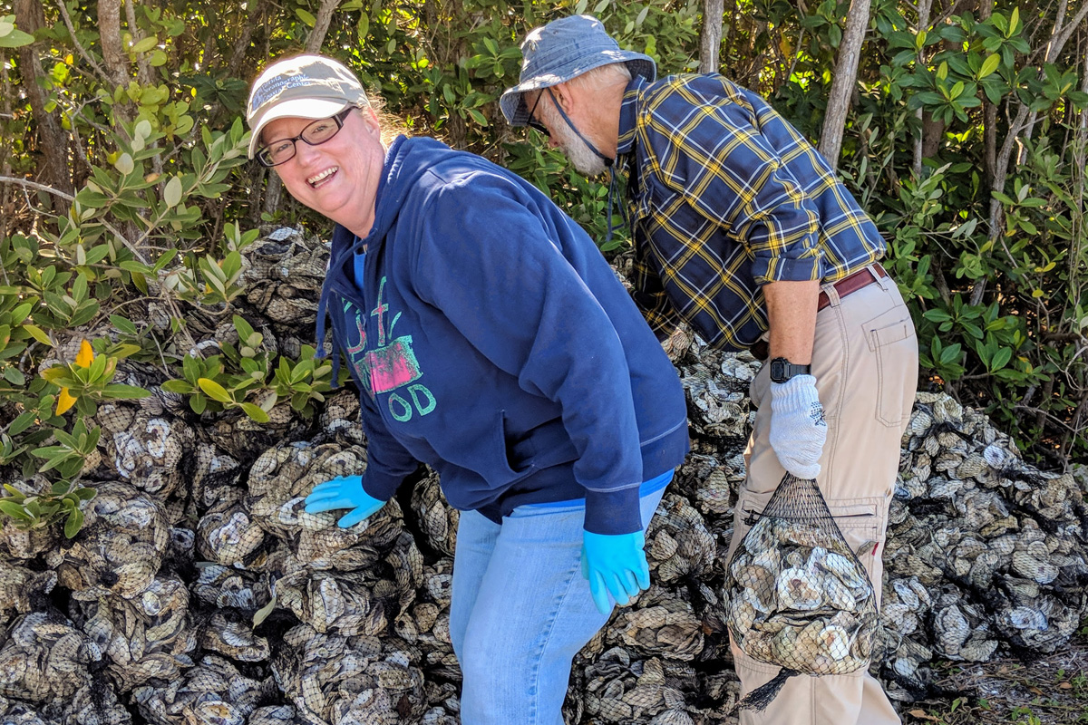 Volunteers stacking bags of oyster shells 