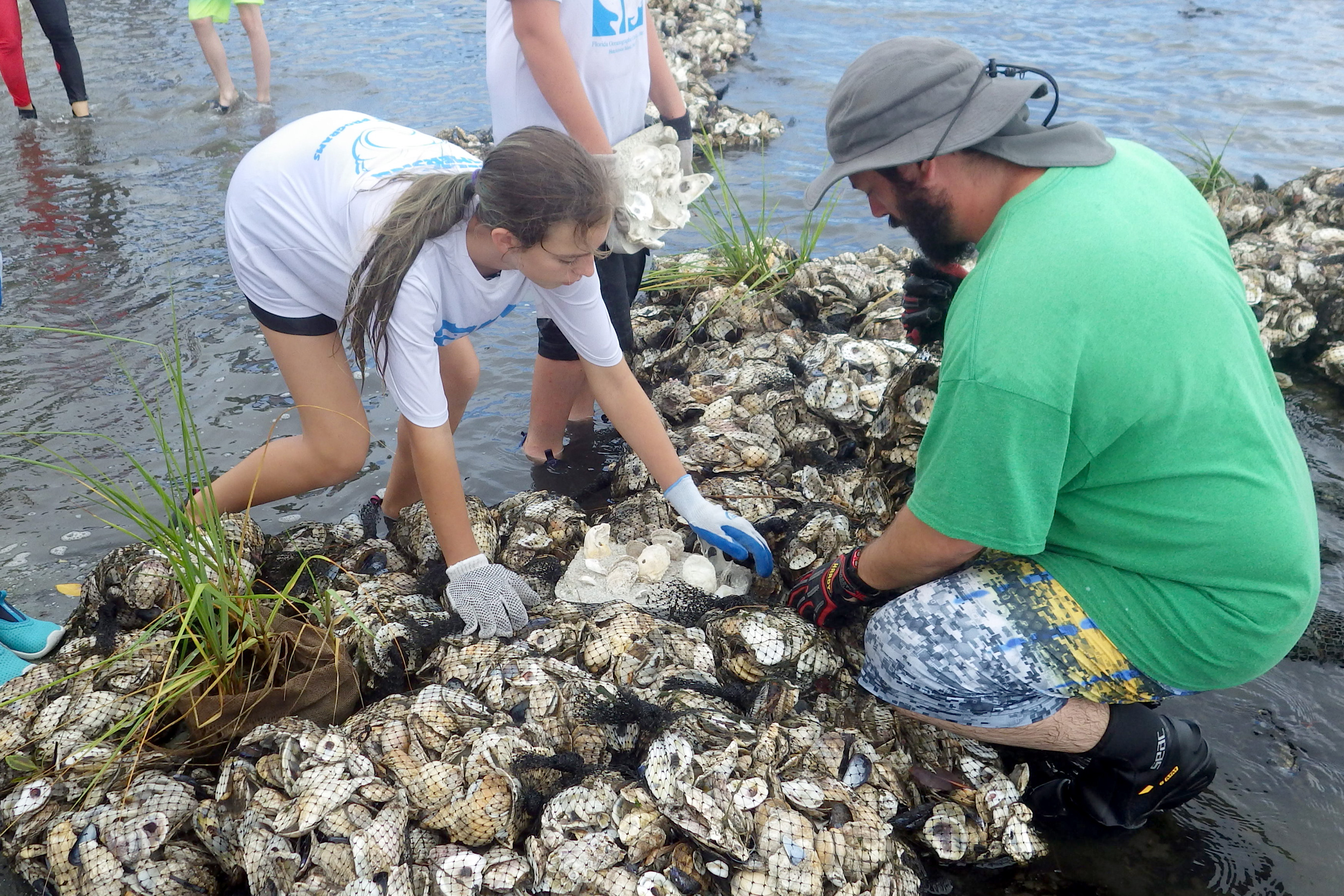 summer campers helping to create an oyster reef