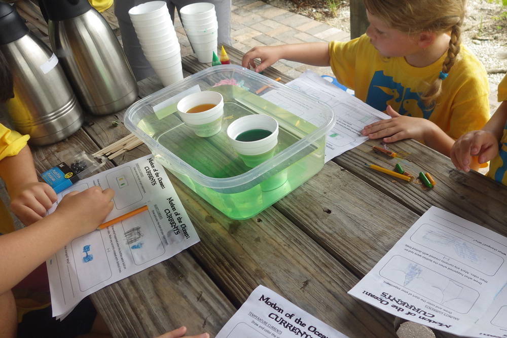 summer campers performing a science experiment