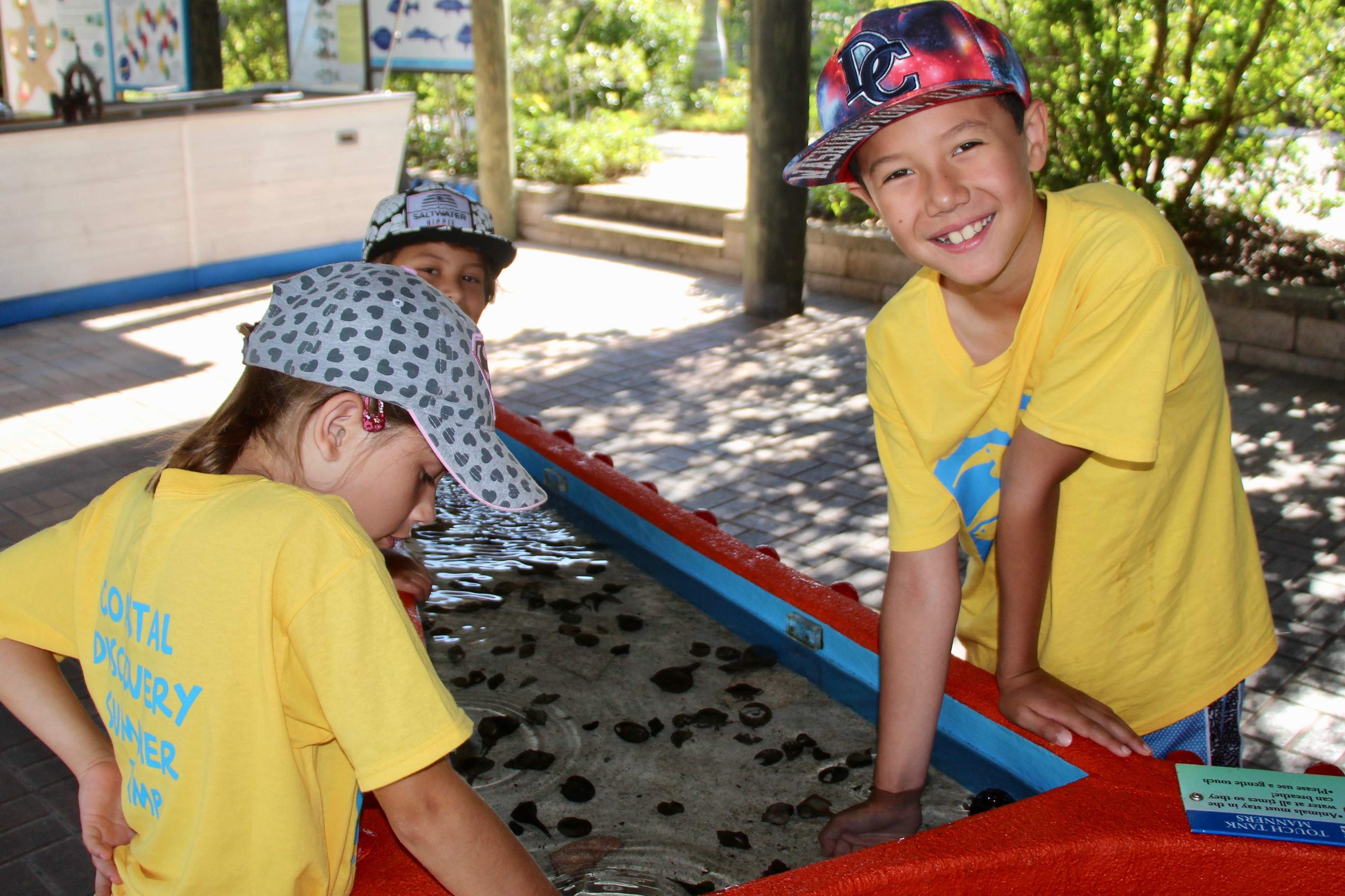summer campers at the touch tank