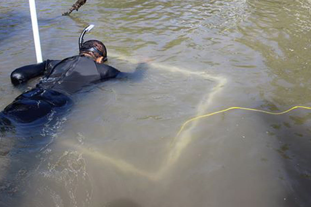 researcher in the Lagoon looking at seagrass 