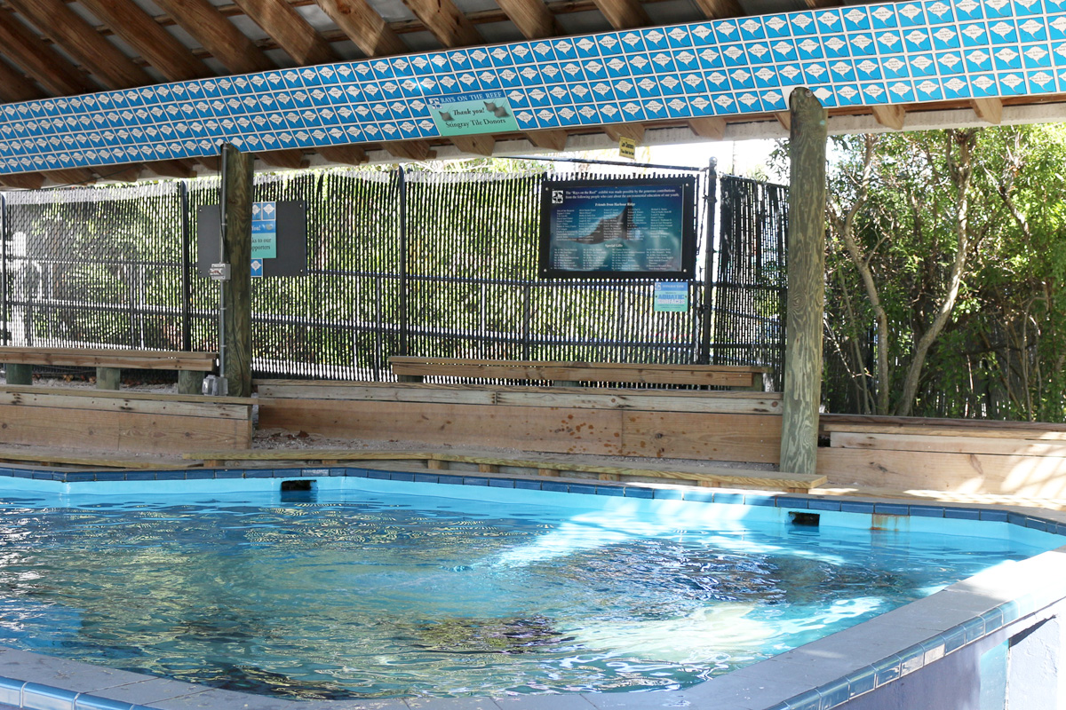 Stingray pavilion with stingray tiles