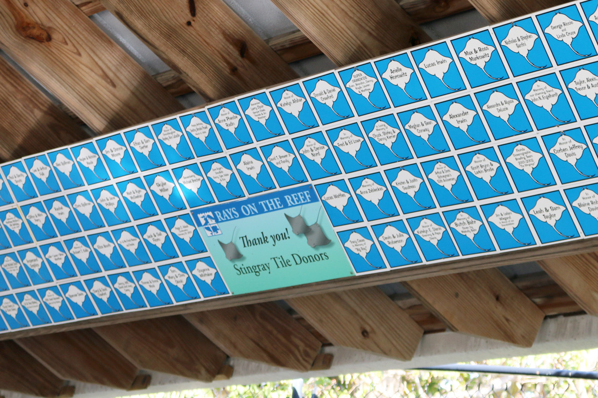 Stingray tiles