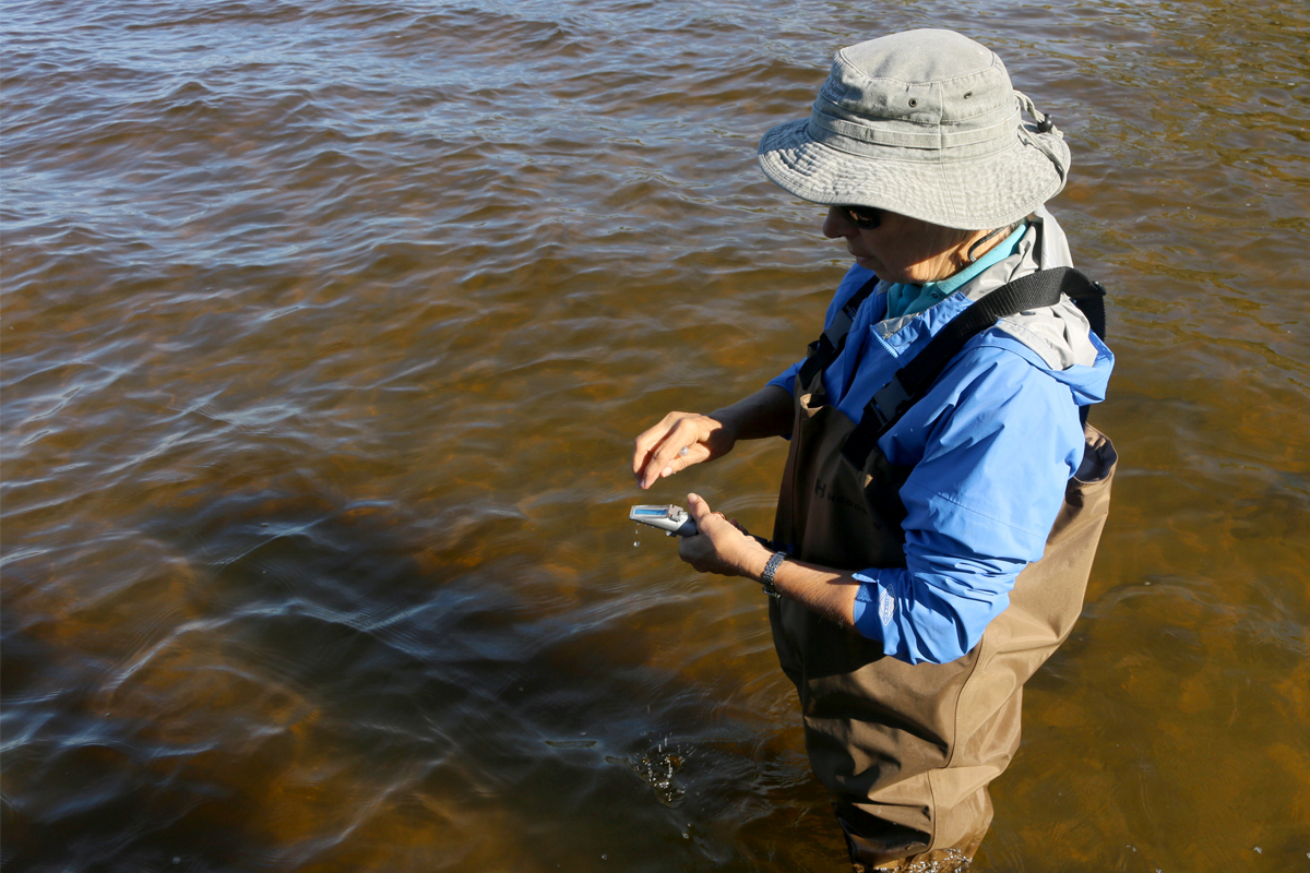 Water quality tester