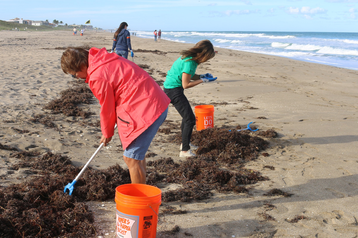 beach cleanup