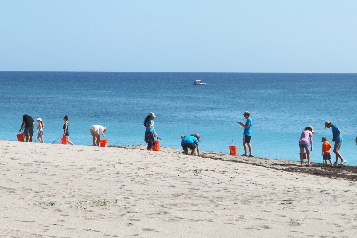 beach cleanup