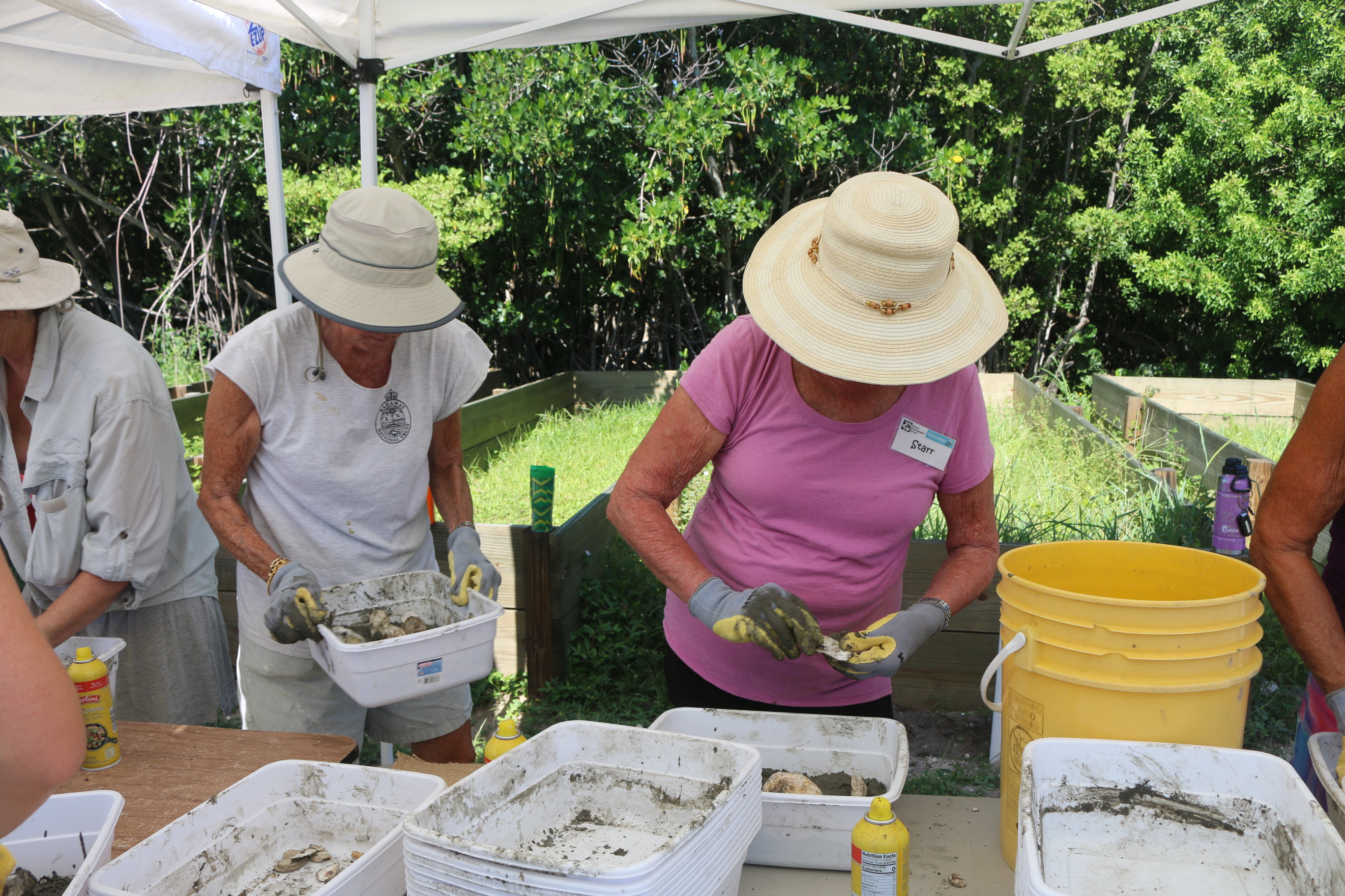 volunteers creating oyster restoration modules 