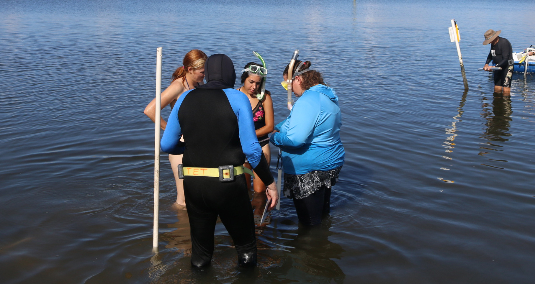 seagrass volunteers in the Indian River Lagoon 