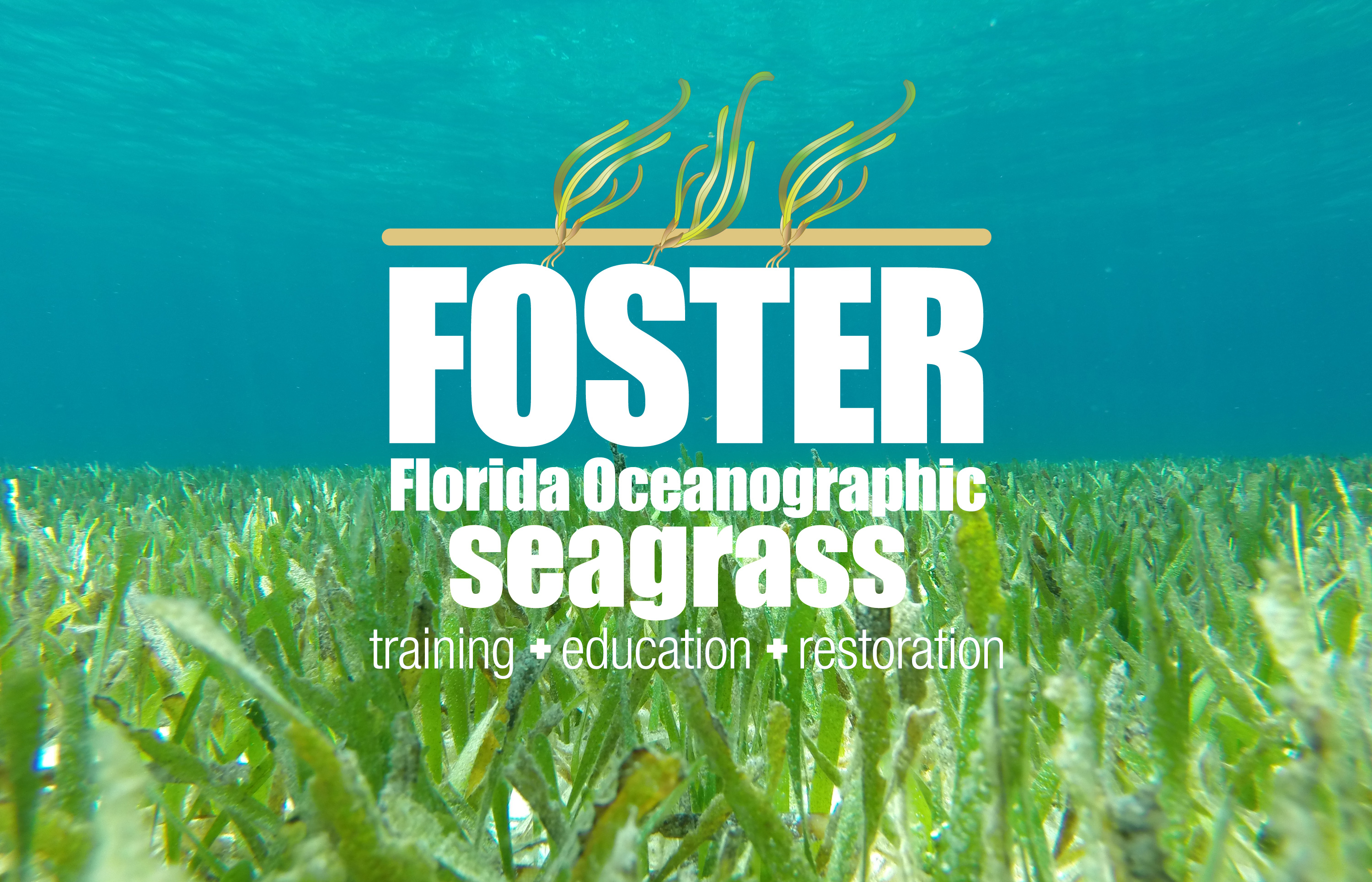 foster logo