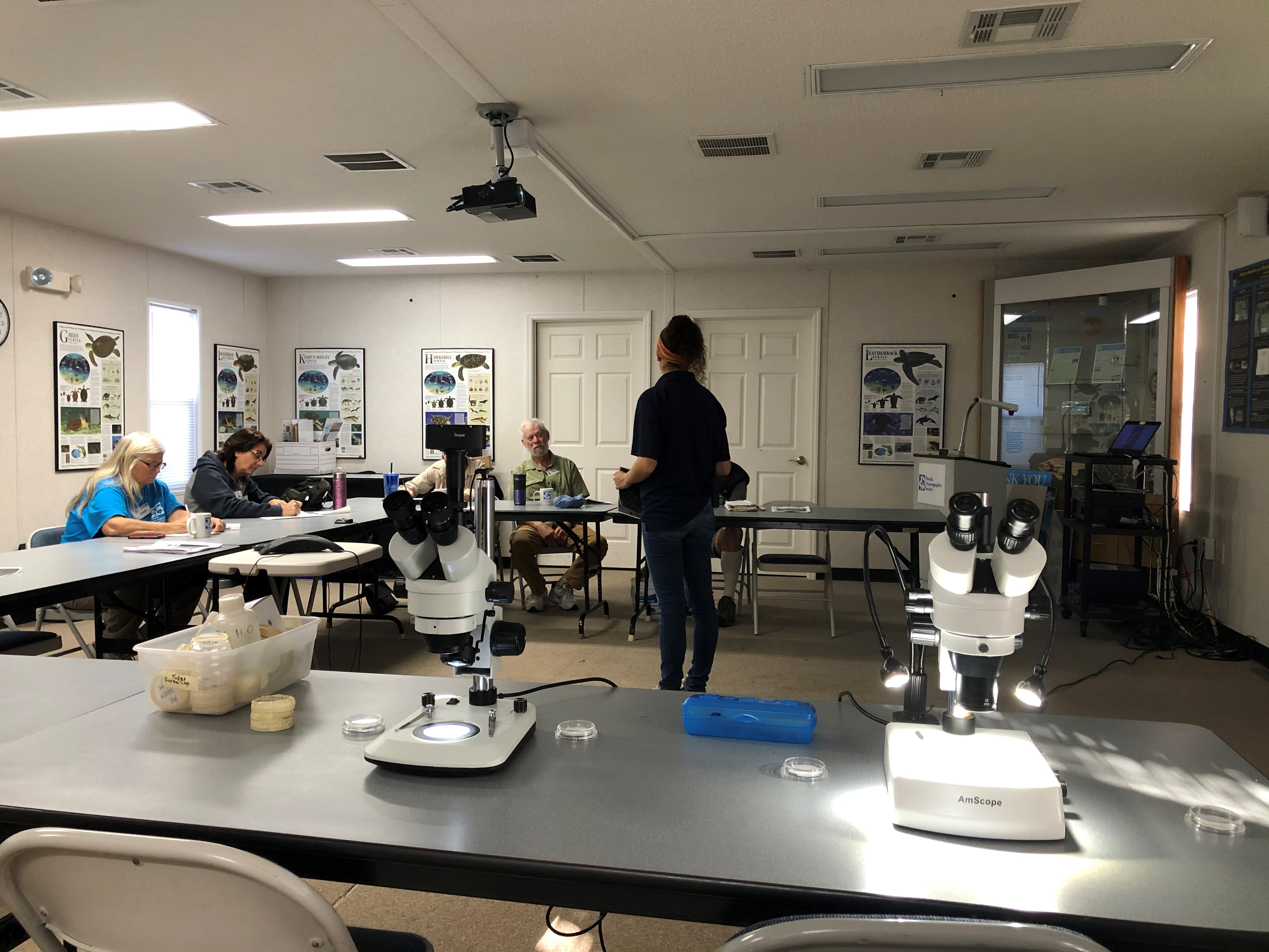 lab