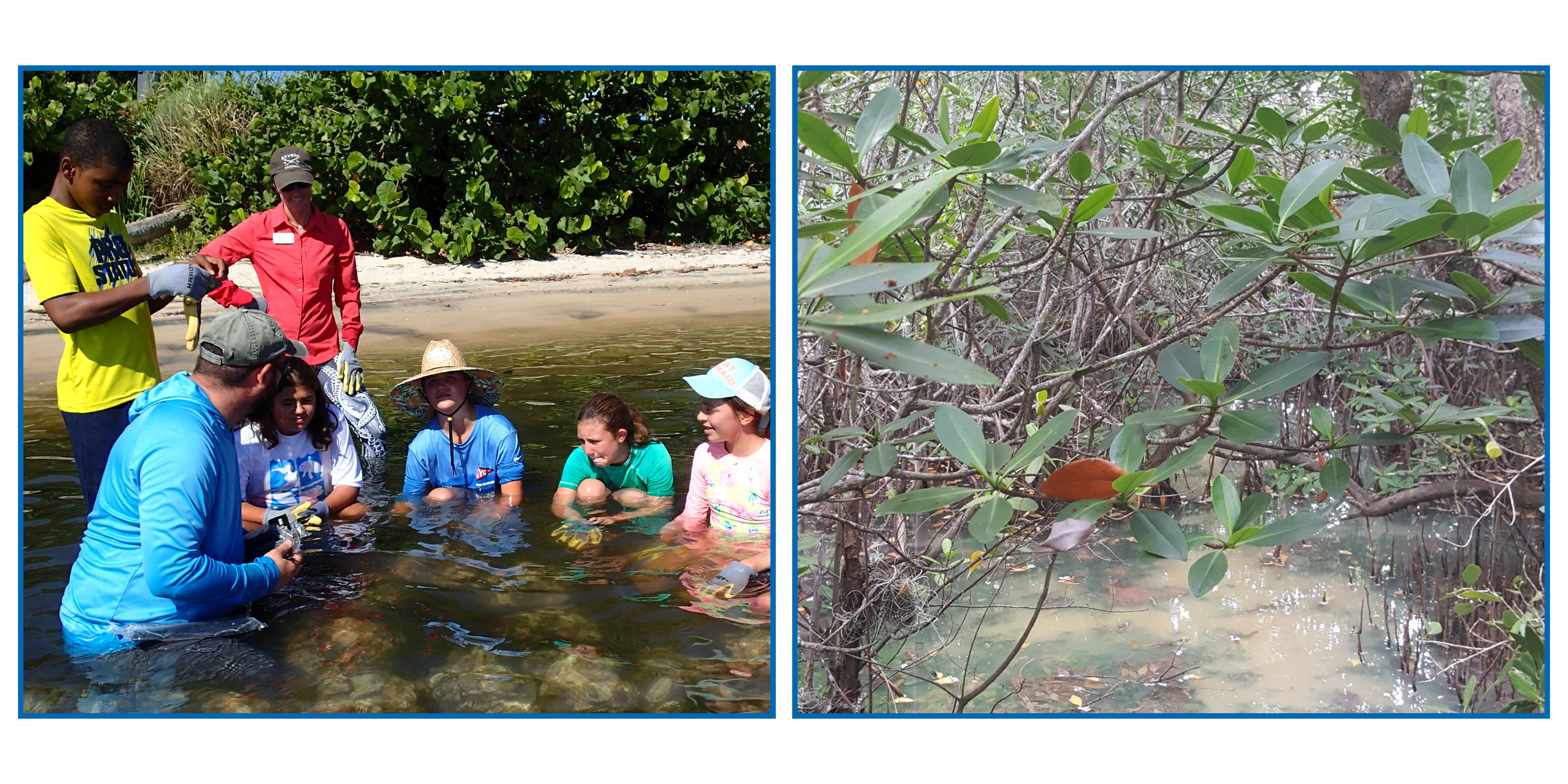 expedition florida images