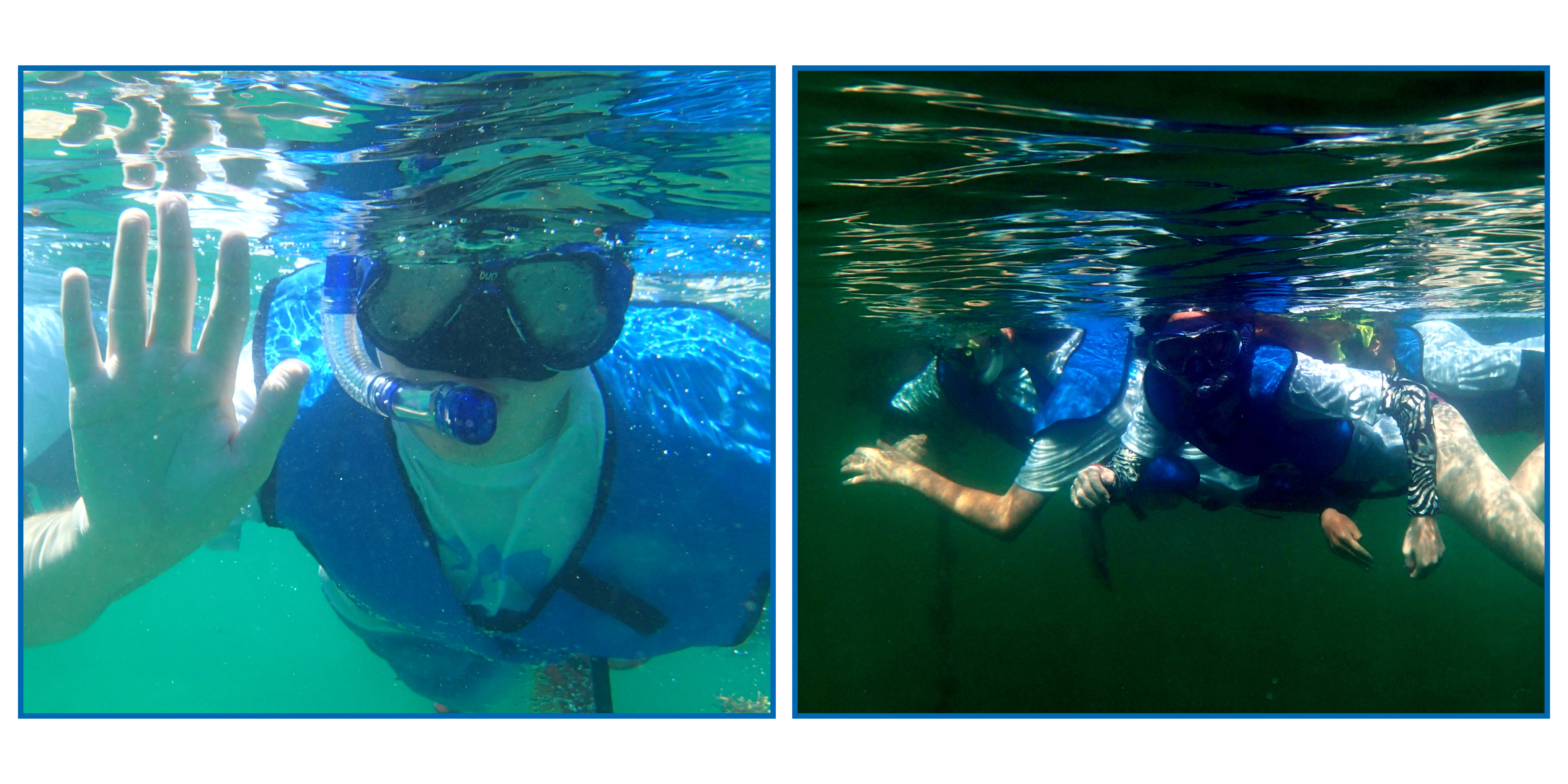 reef id