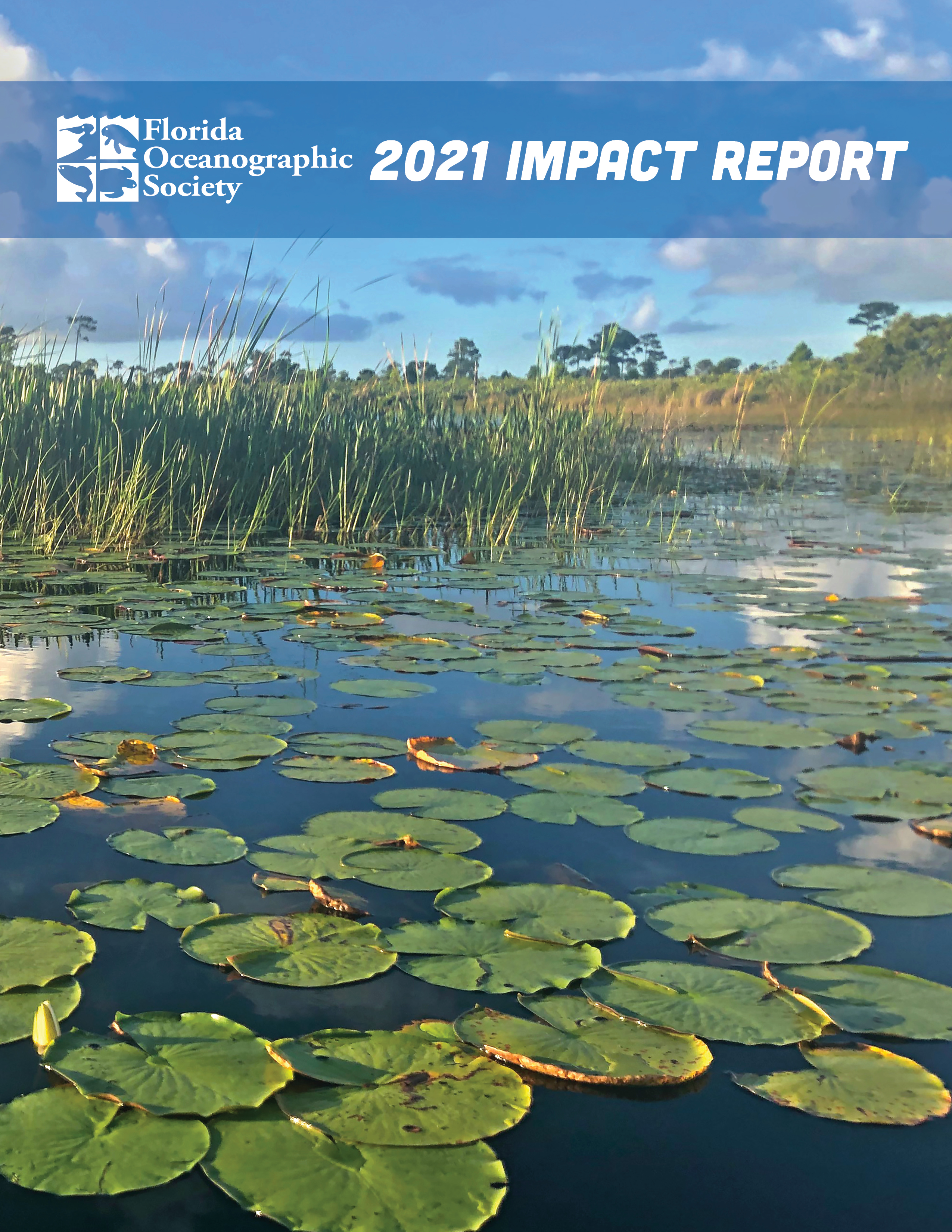 2021 Impact Report Cover