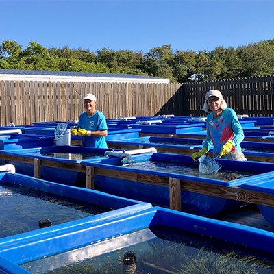 jim and wife at seagrass nursery