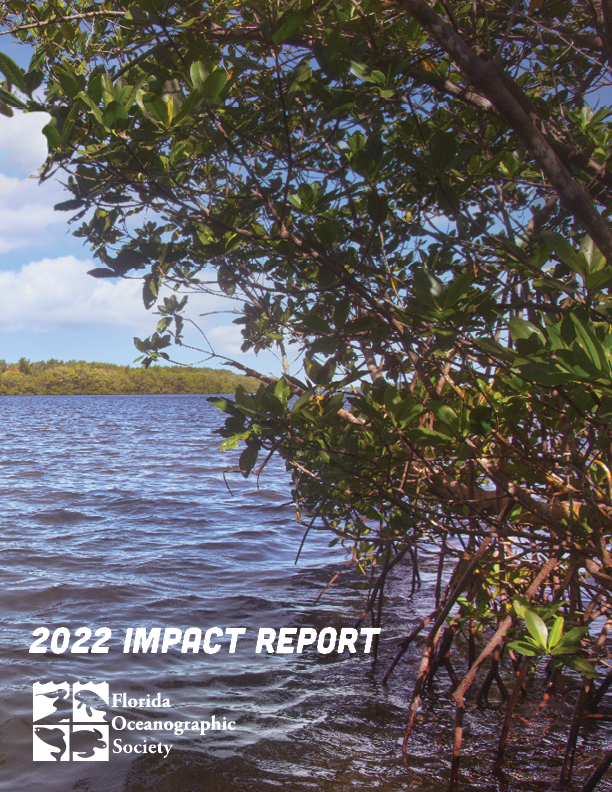 2022 Impact Report Cover Image