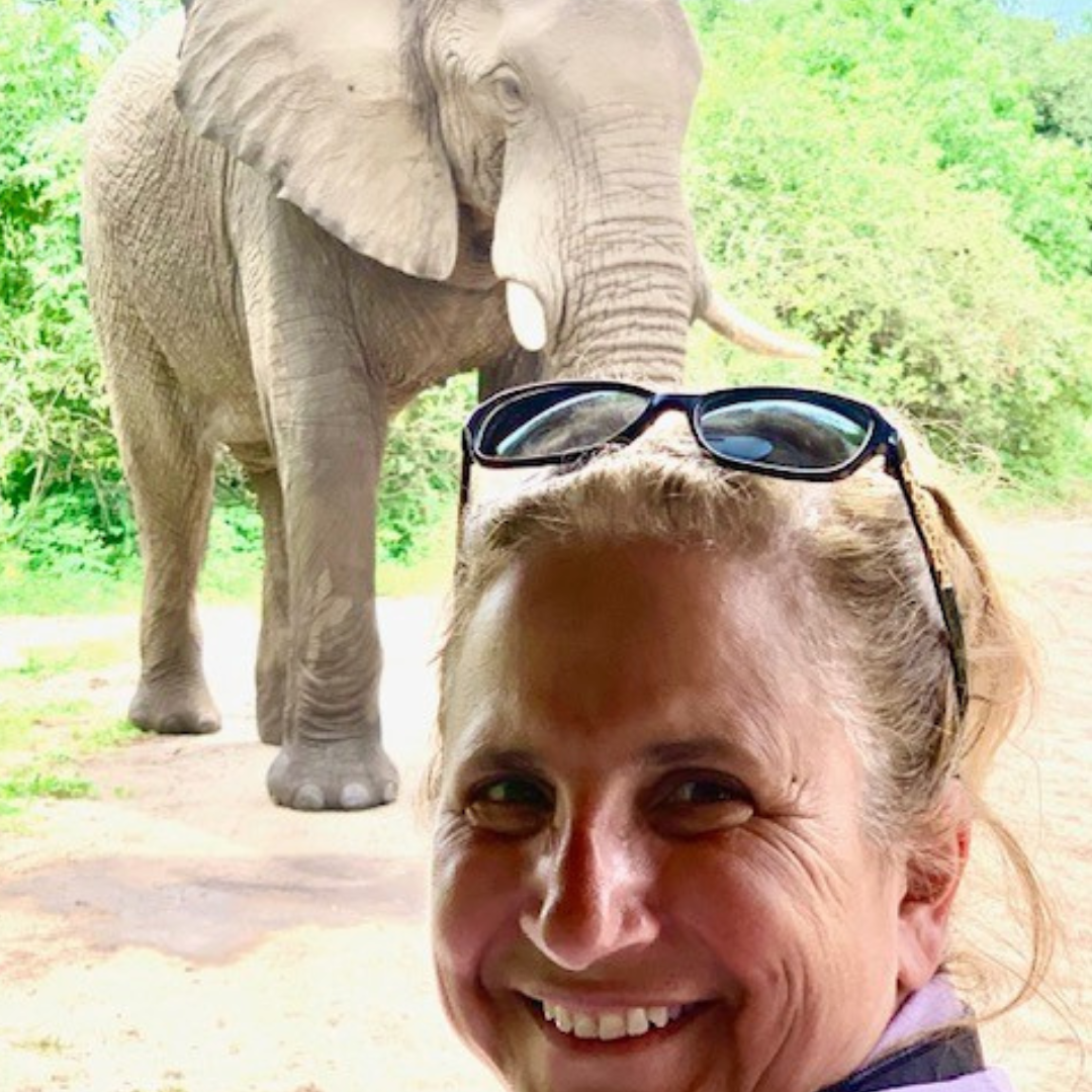 Rosanne Danner Elephant
