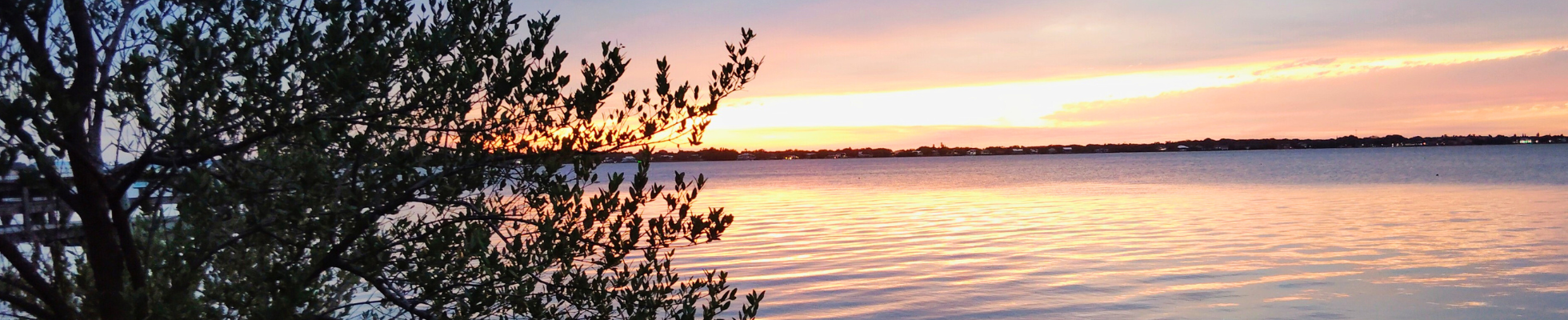 sunset on lagoon Nocturnal Neighbors Walk Page Image 1960x400