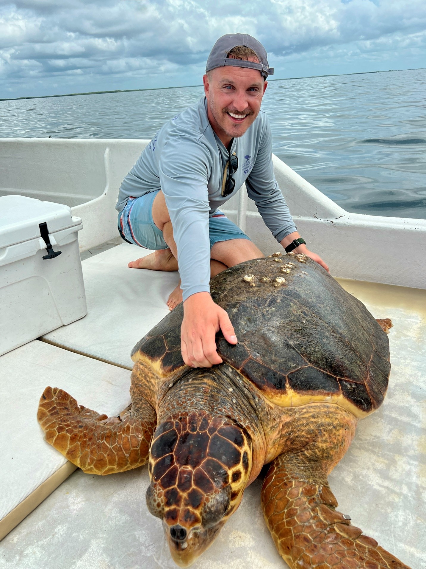 with turtle on boat