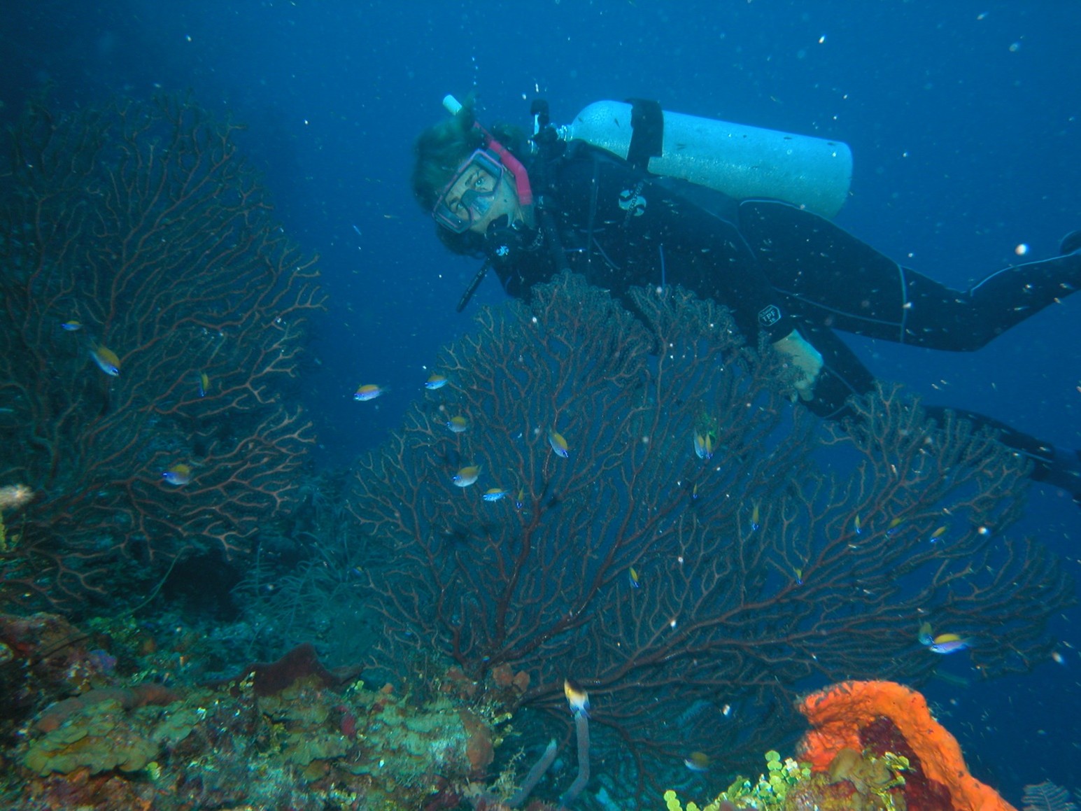snorkeling underwater 2