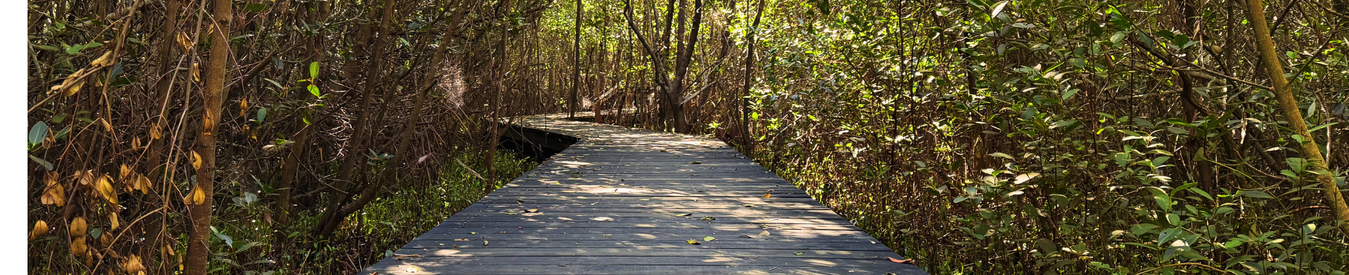 CC Page "Plan" Hero Image 1960x400