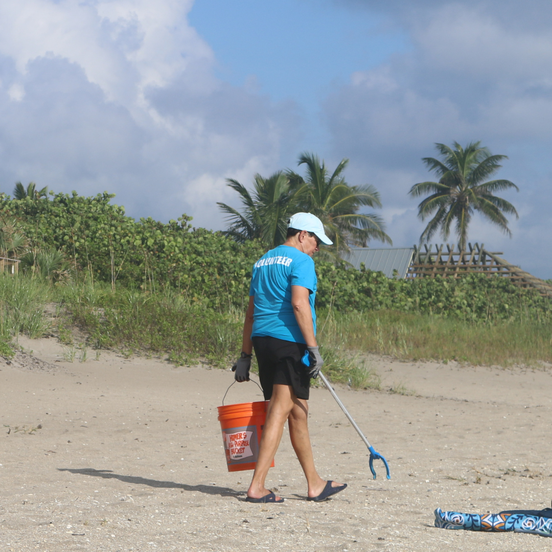 beach cleanup 2