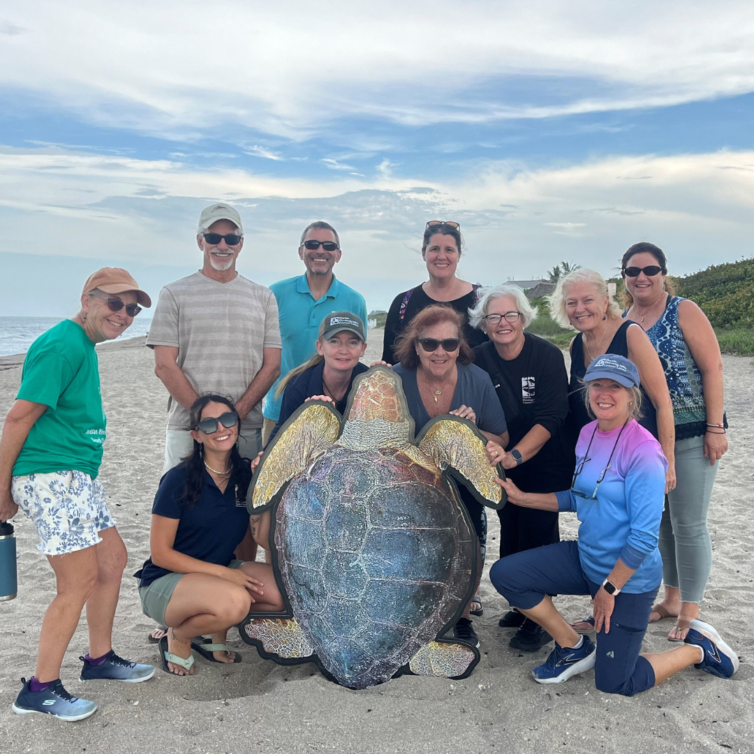 turtle 1