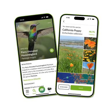 iNaturalist App