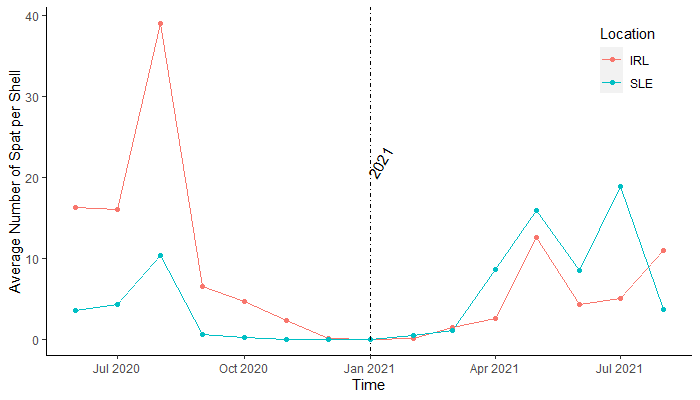 2021_August_Spat_Timeseries.png