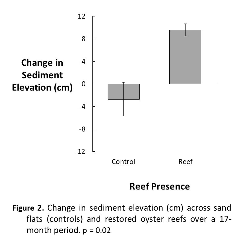 5-28%20research%20blog%202.jpg