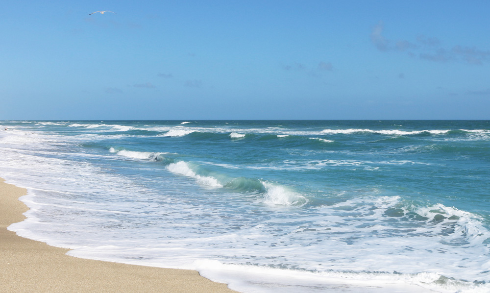 Waves along the beach 