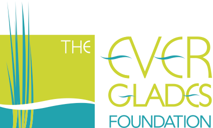 Everglades%20Foundation%20Logo.png